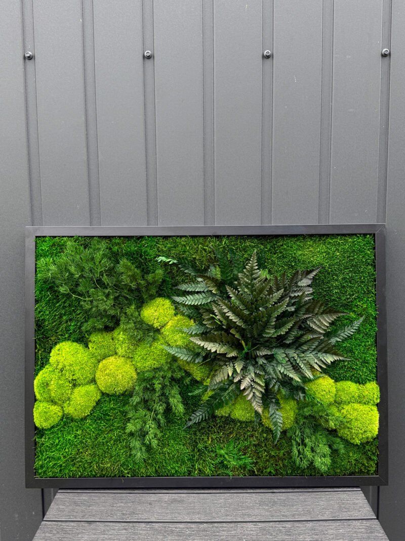 Stabiliseret mosvæg – 70×50 cm - Image 2