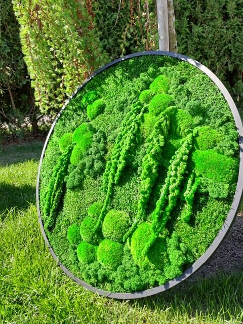 Mossbloom projekt 1
