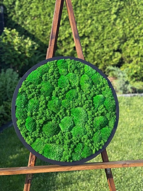 Mossbloom projekt 3