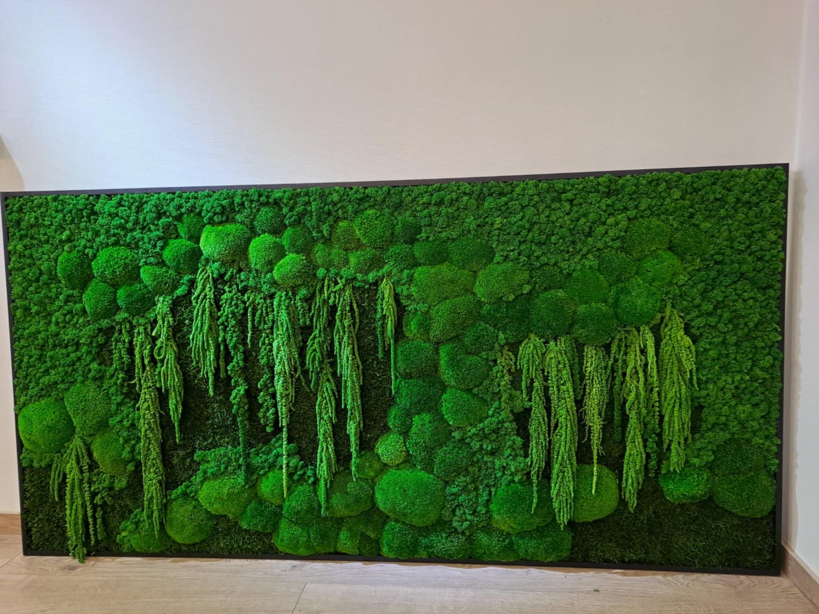 Mossbloom projekt 7