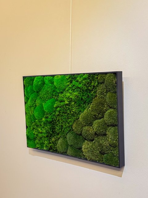 Mossbloom projekt 8