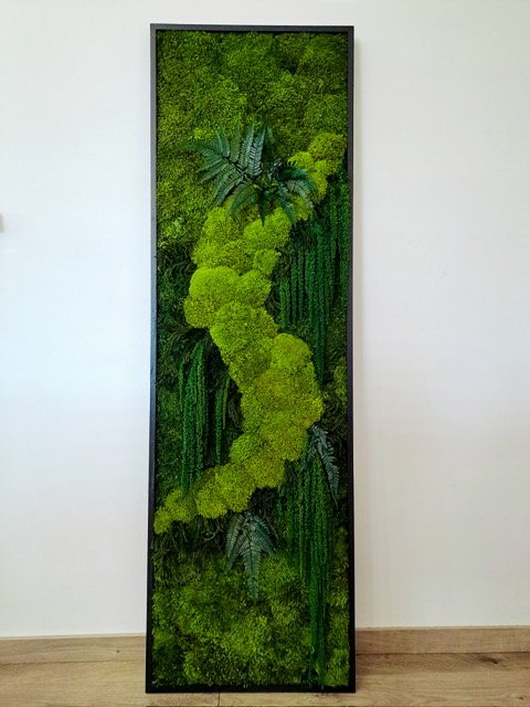 Mossbloom projekt 15