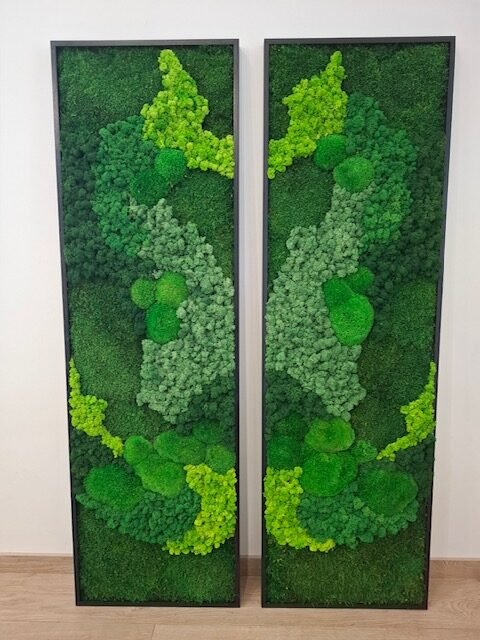 Mossbloom projekt 16