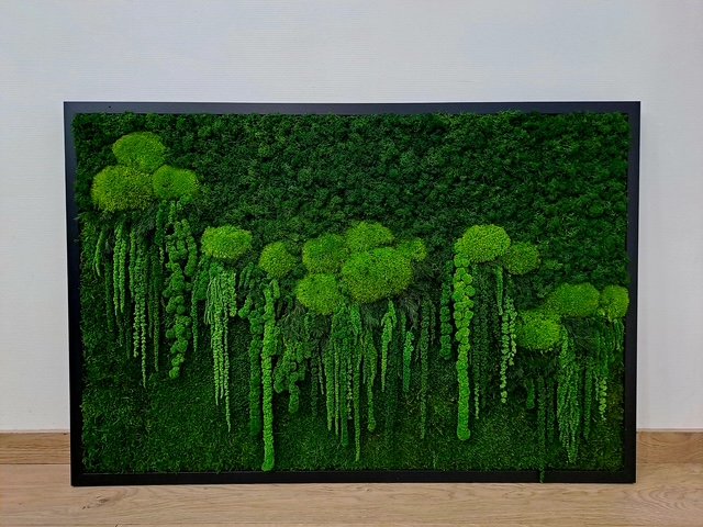 Mossbloom projekt 18