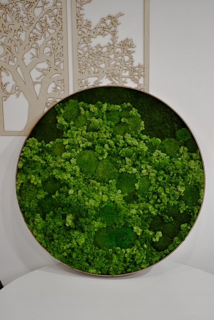 Mossbloom projekt 20