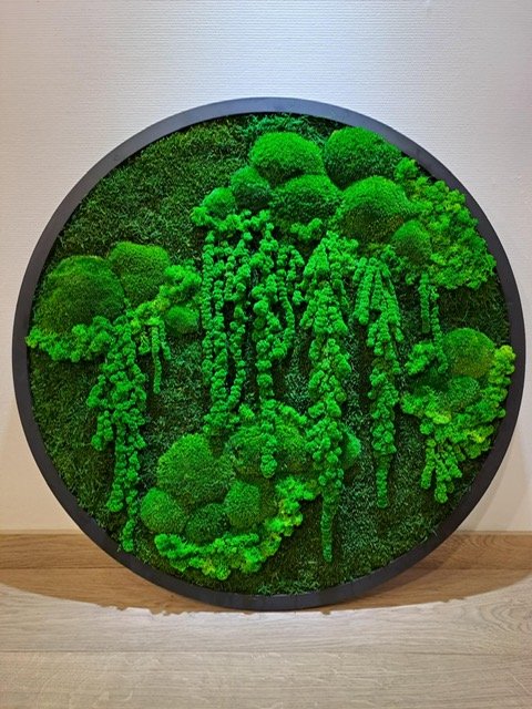 Mossbloom projekt 32