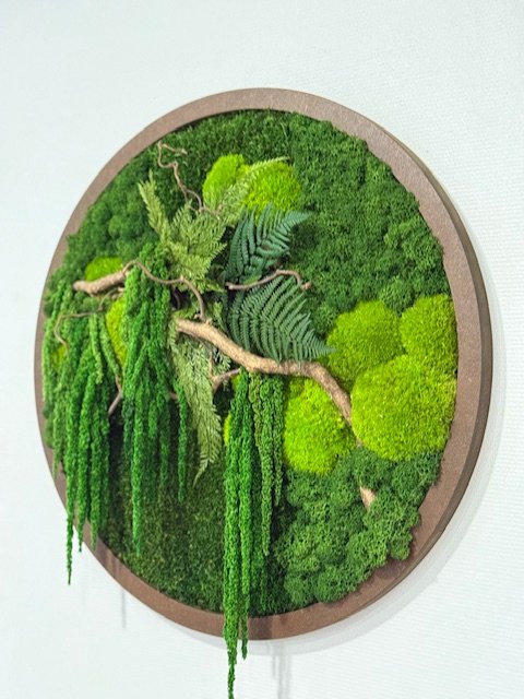 Mossbloom projekt 24