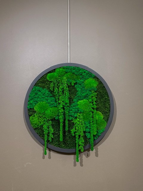 Mossbloom projekt 25