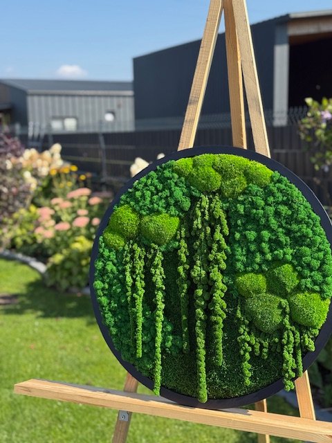 Mossbloom projekt 27