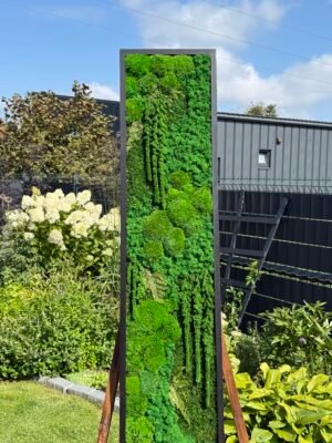 Mosvæg 120×30